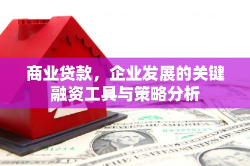 田家庵商业贷款，企业发展的关键融资工具与策略分析