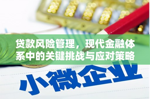 田家庵贷款风险管理，现代金融体系中的关键挑战与应对策略