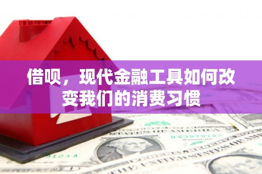 田家庵借呗，现代金融工具如何改变我们的消费习惯