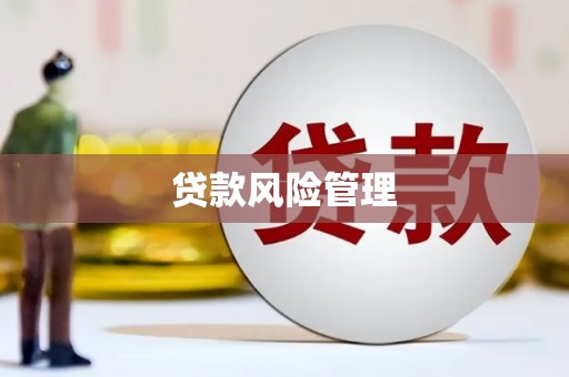田家庵贷款风险管理