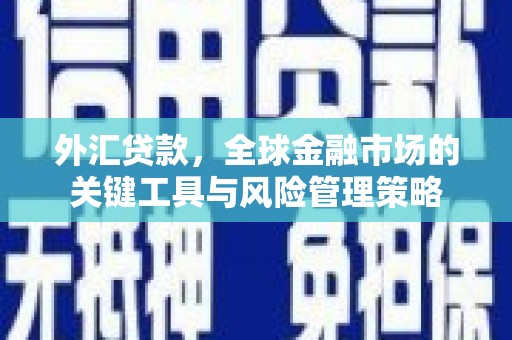 田家庵外汇贷款，全球金融市场的关键工具与风险管理策略