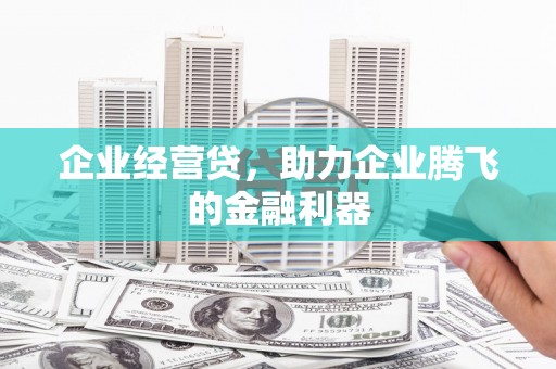 田家庵企业经营贷，助力企业腾飞的金融利器