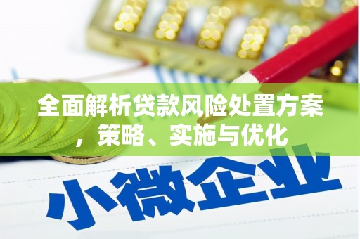 田家庵全面解析贷款风险处置方案，策略、实施与优化