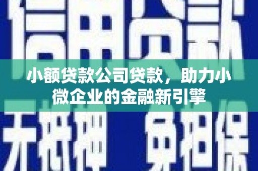 田家庵小额贷款公司贷款，助力小微企业的金融新引擎