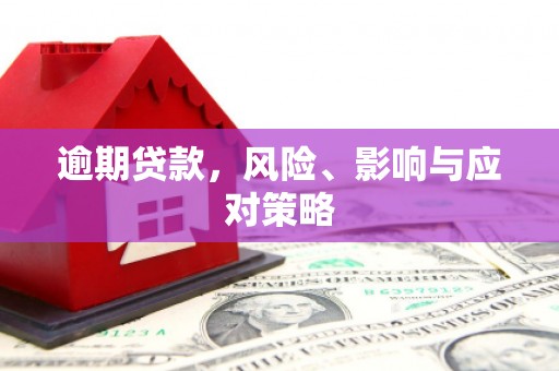 田家庵逾期贷款，风险、影响与应对策略