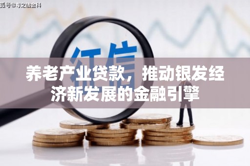 田家庵养老产业贷款，推动银发经济新发展的金融引擎