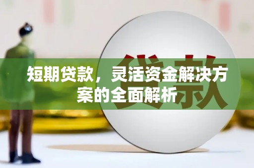 田家庵短期贷款，灵活资金解决方案的全面解析