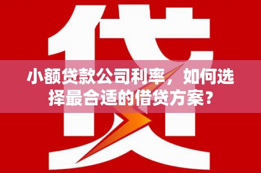 田家庵小额贷款公司利率，如何选择最合适的借贷方案？