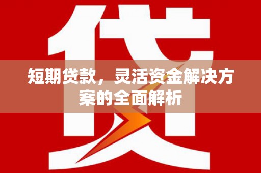 田家庵短期贷款，灵活资金解决方案的全面解析