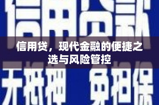 田家庵信用贷，现代金融的便捷之选与风险管控