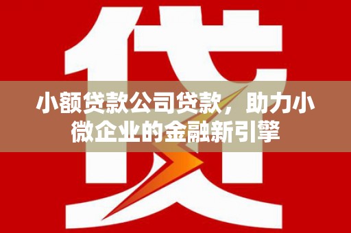 田家庵小额贷款公司贷款，助力小微企业的金融新引擎
