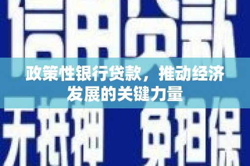 田家庵政策性银行贷款，推动经济发展的关键力量
