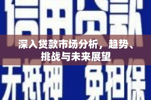 田家庵深入贷款市场分析，趋势、挑战与未来展望
