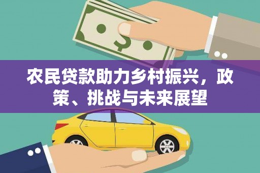 田家庵农民贷款助力乡村振兴，政策、挑战与未来展望