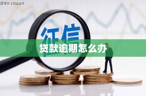 田家庵贷款逾期怎么办