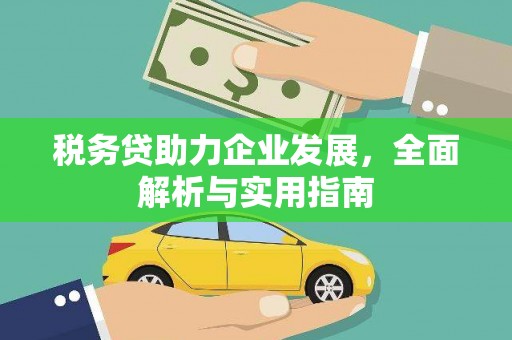 田家庵税务贷助力企业发展，全面解析与实用指南