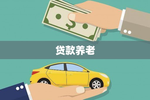 田家庵贷款养老