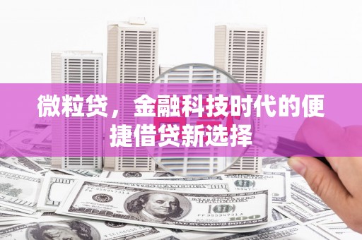 田家庵微粒贷，金融科技时代的便捷借贷新选择