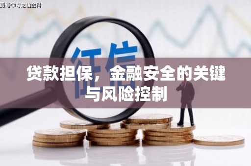 田家庵贷款担保，金融安全的关键与风险控制