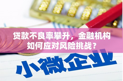 田家庵贷款不良率攀升，金融机构如何应对风险挑战？