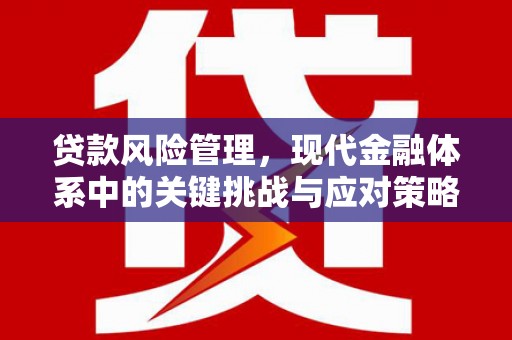 田家庵贷款风险管理，现代金融体系中的关键挑战与应对策略