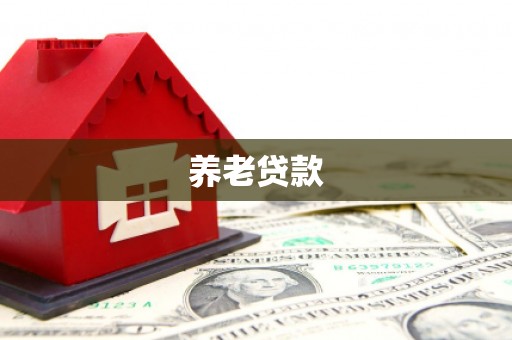 田家庵养老贷款