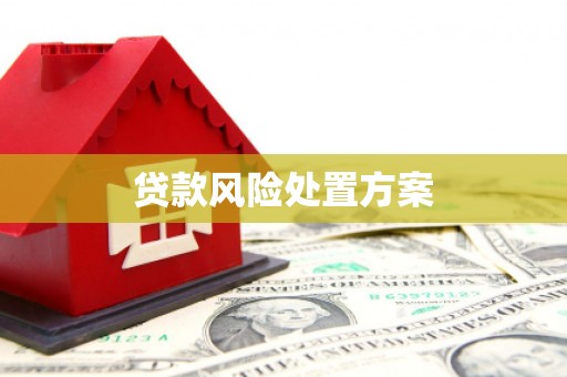田家庵贷款风险处置方案
