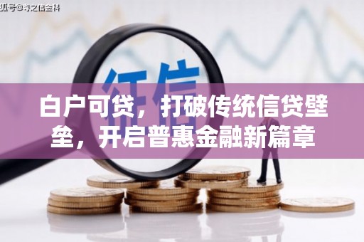田家庵白户可贷，打破传统信贷壁垒，开启普惠金融新篇章
