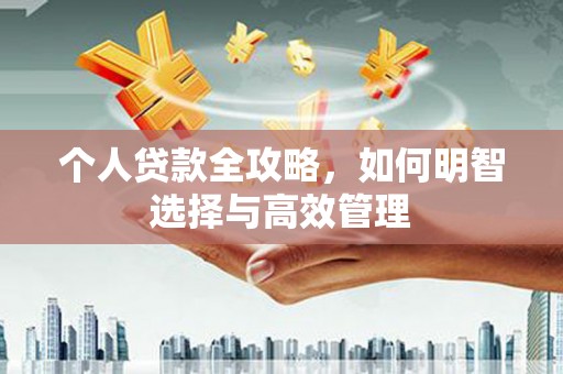 田家庵个人贷款全攻略，如何明智选择与高效管理