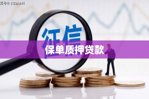 田家庵保单质押贷款