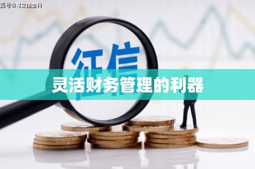 田家庵灵活财务管理的利器