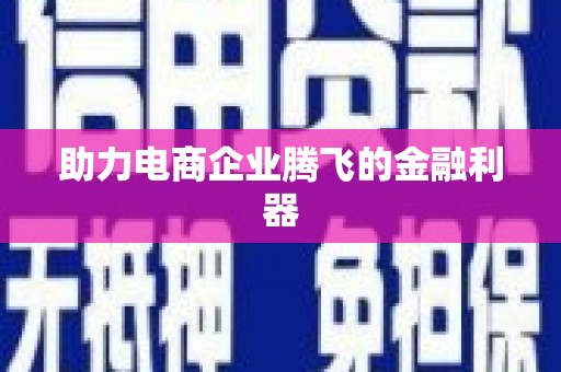 田家庵助力电商企业腾飞的金融利器