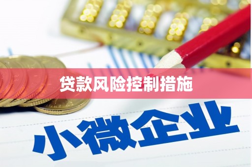 田家庵贷款风险控制措施