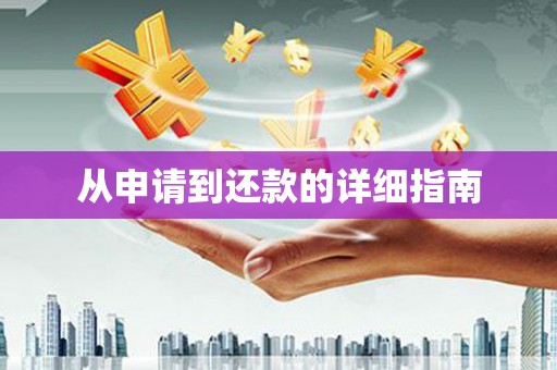 田家庵从申请到还款的详细指南