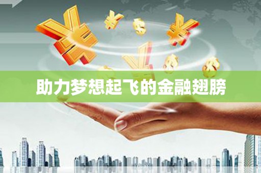 田家庵助力梦想起飞的金融翅膀
