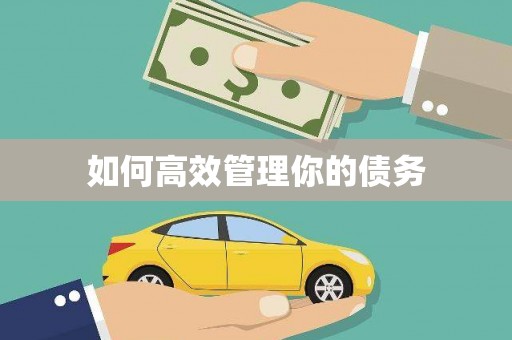 田家庵如何高效管理你的债务