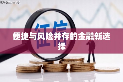 田家庵便捷与风险并存的金融新选择