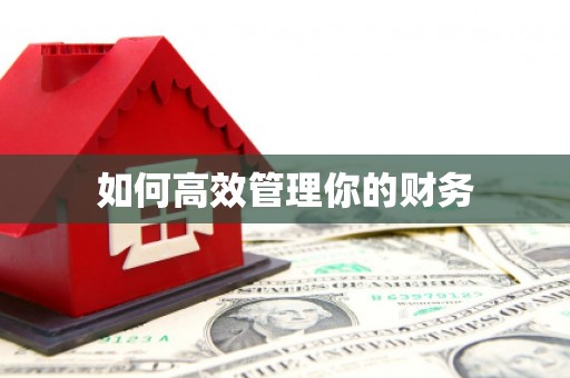 田家庵如何高效管理你的财务