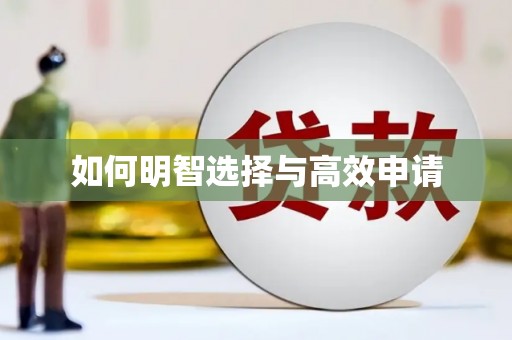 田家庵如何明智选择与高效申请