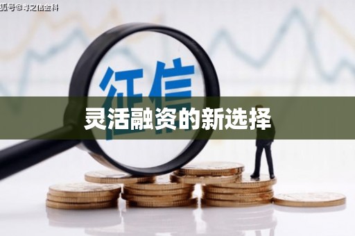 田家庵灵活融资的新选择