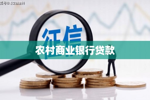 田家庵农村商业银行贷款