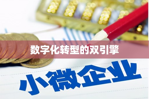 田家庵数字化转型的双引擎