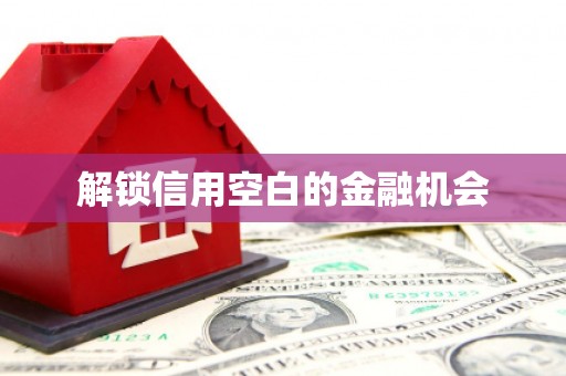 田家庵解锁信用空白的金融机会