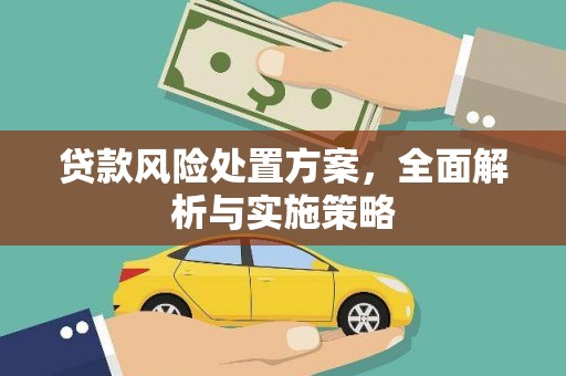 田家庵贷款风险处置方案，全面解析与实施策略