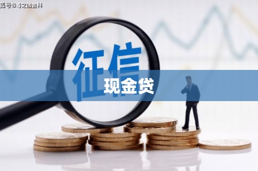 田家庵现金贷