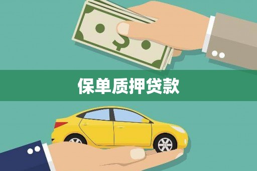 田家庵保单质押贷款