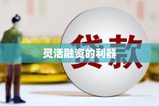 田家庵灵活融资的利器