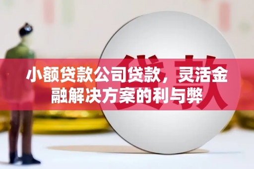田家庵小额贷款公司贷款，灵活金融解决方案的利与弊