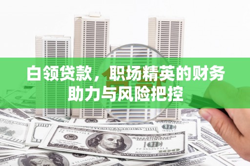 田家庵白领贷款，职场精英的财务助力与风险把控
