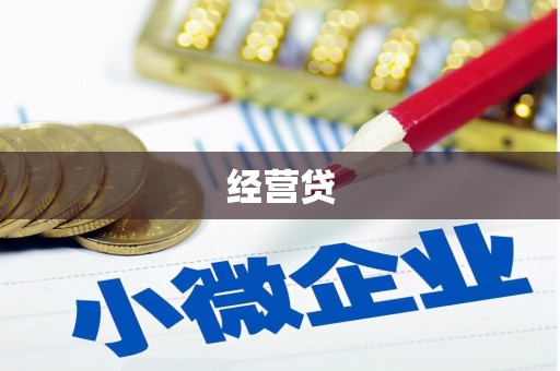 田家庵经营贷